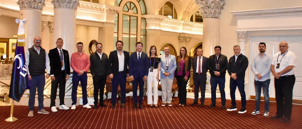 Liga de voleibol profesional de México 